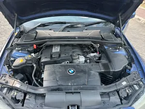 BMW 3 Series 2010 Blue
