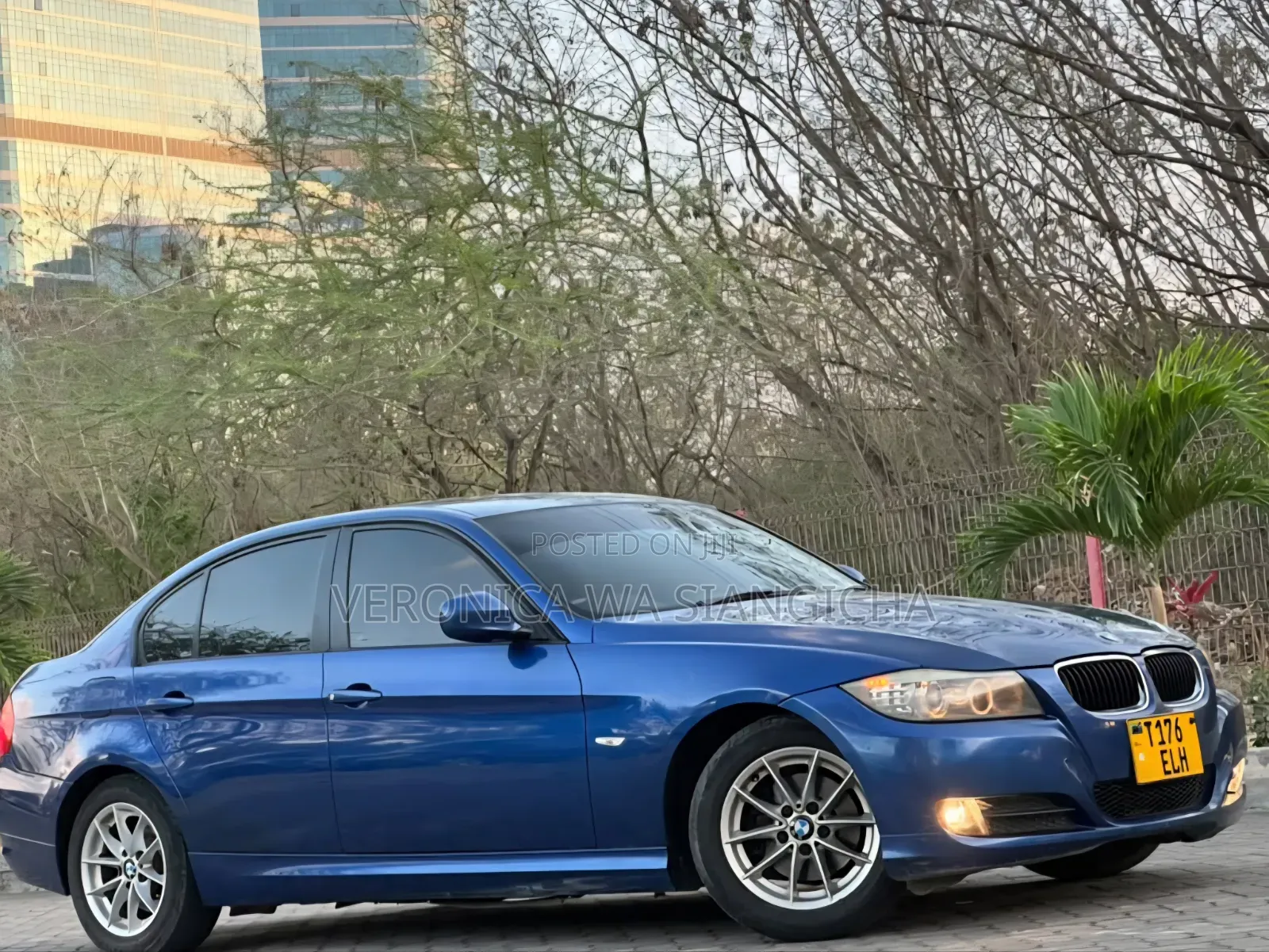 BMW 3 Series 2010 Blue