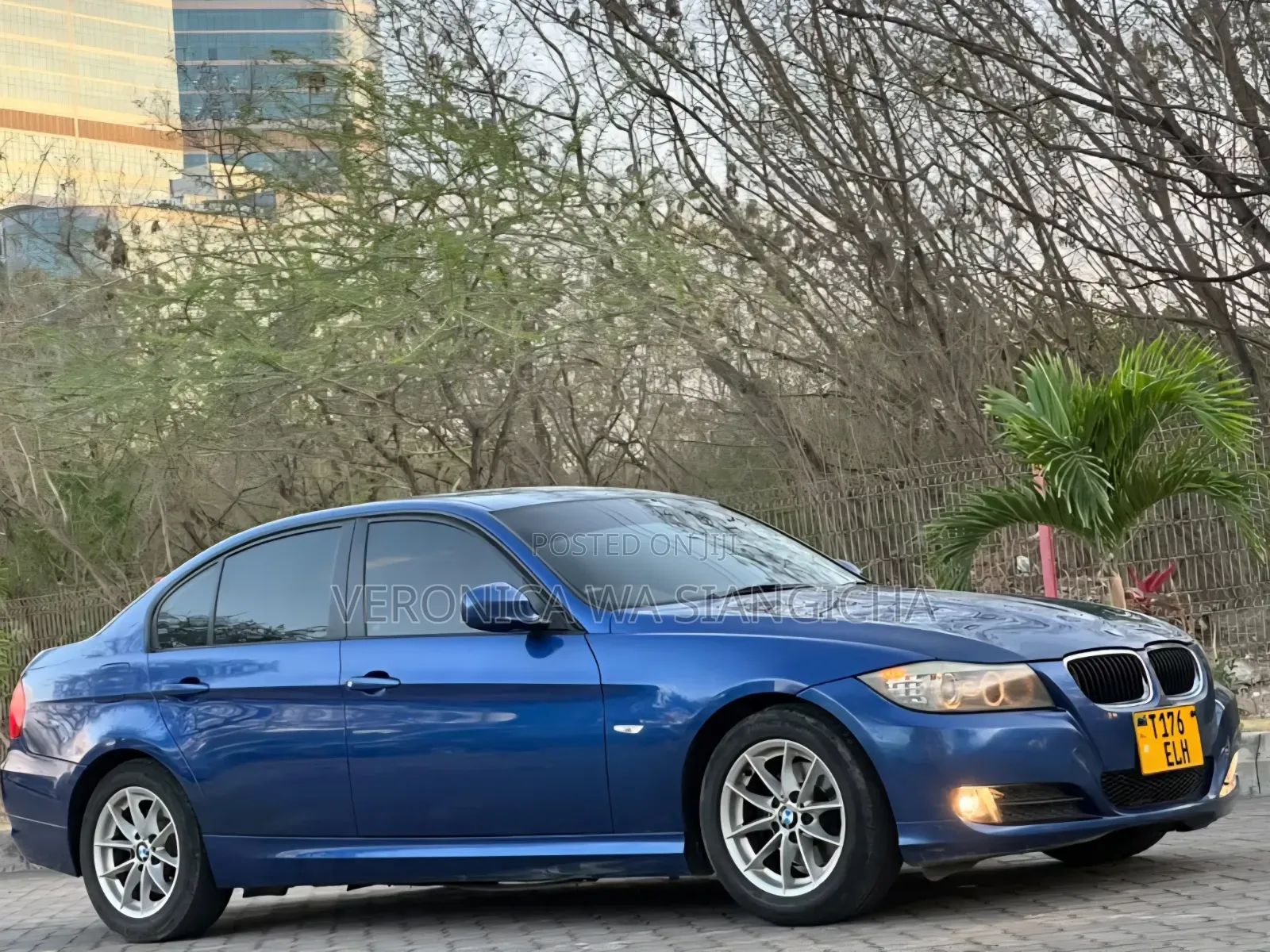 BMW 3 Series 2010 Blue