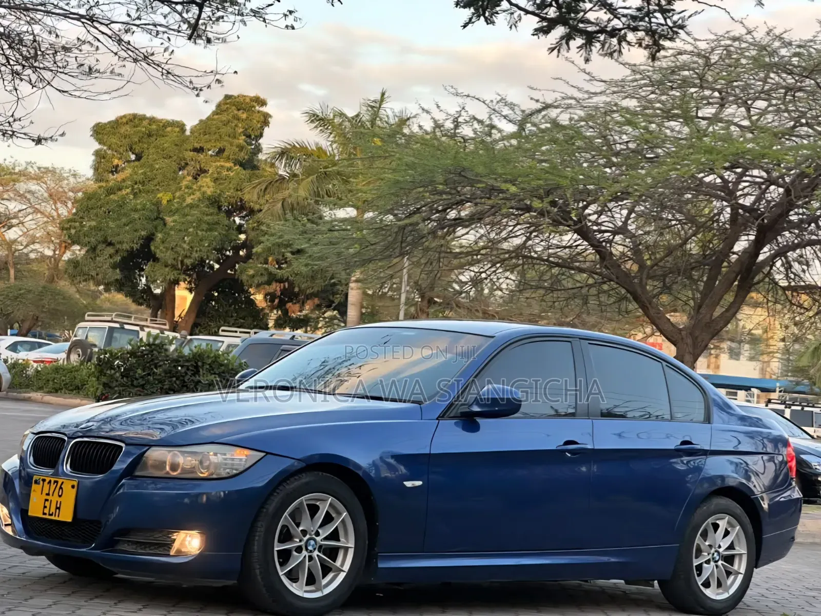 BMW 3 Series 2010 Blue