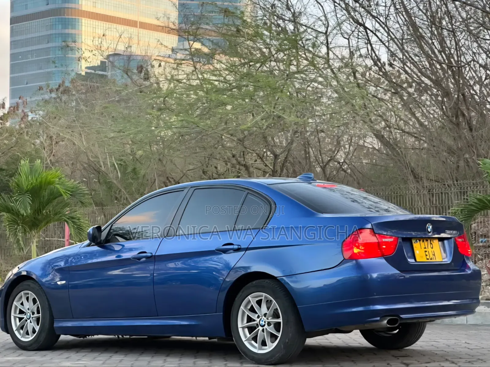 BMW 3 Series 2010 Blue