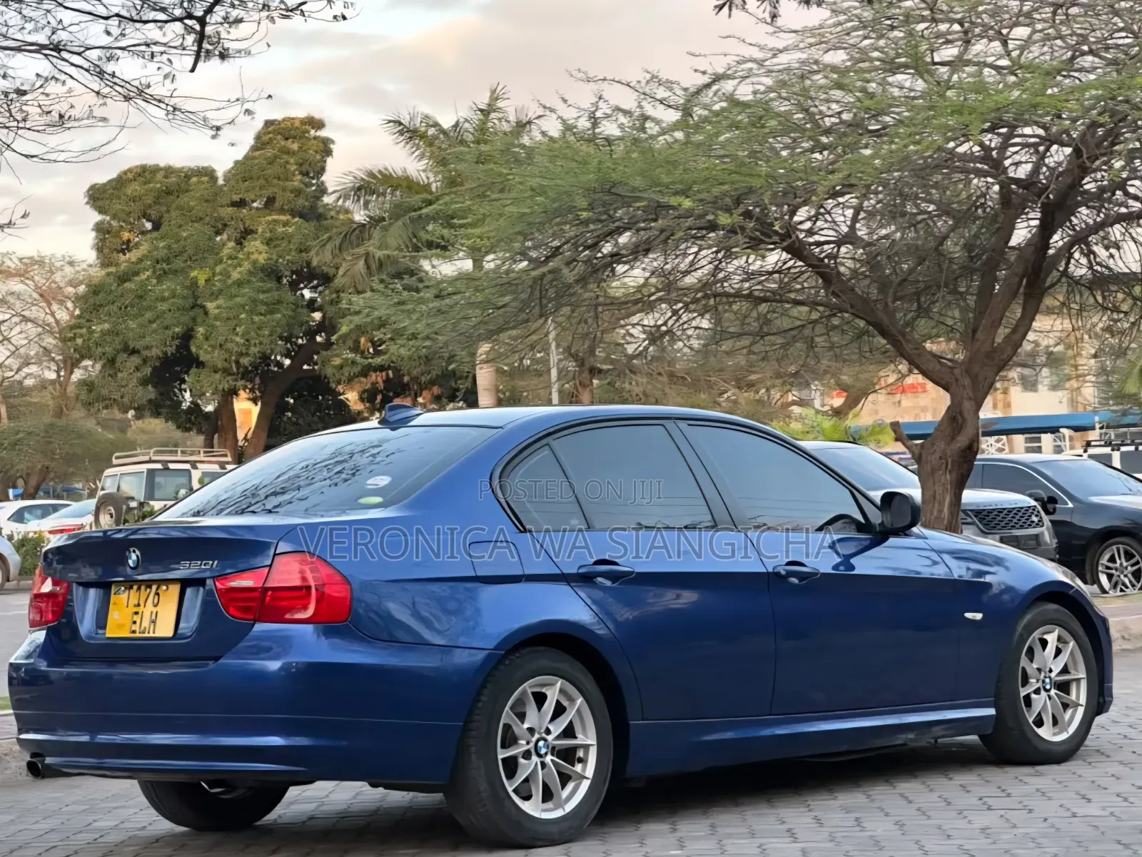 BMW 3 Series 2010 Blue