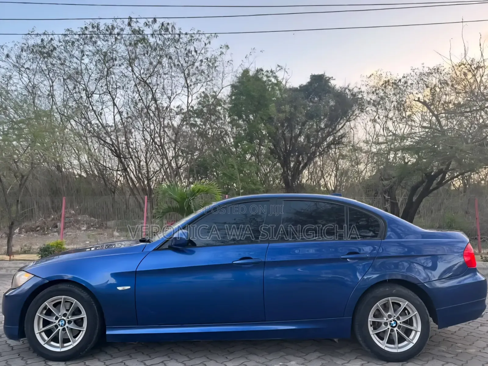 BMW 3 Series 2010 Blue