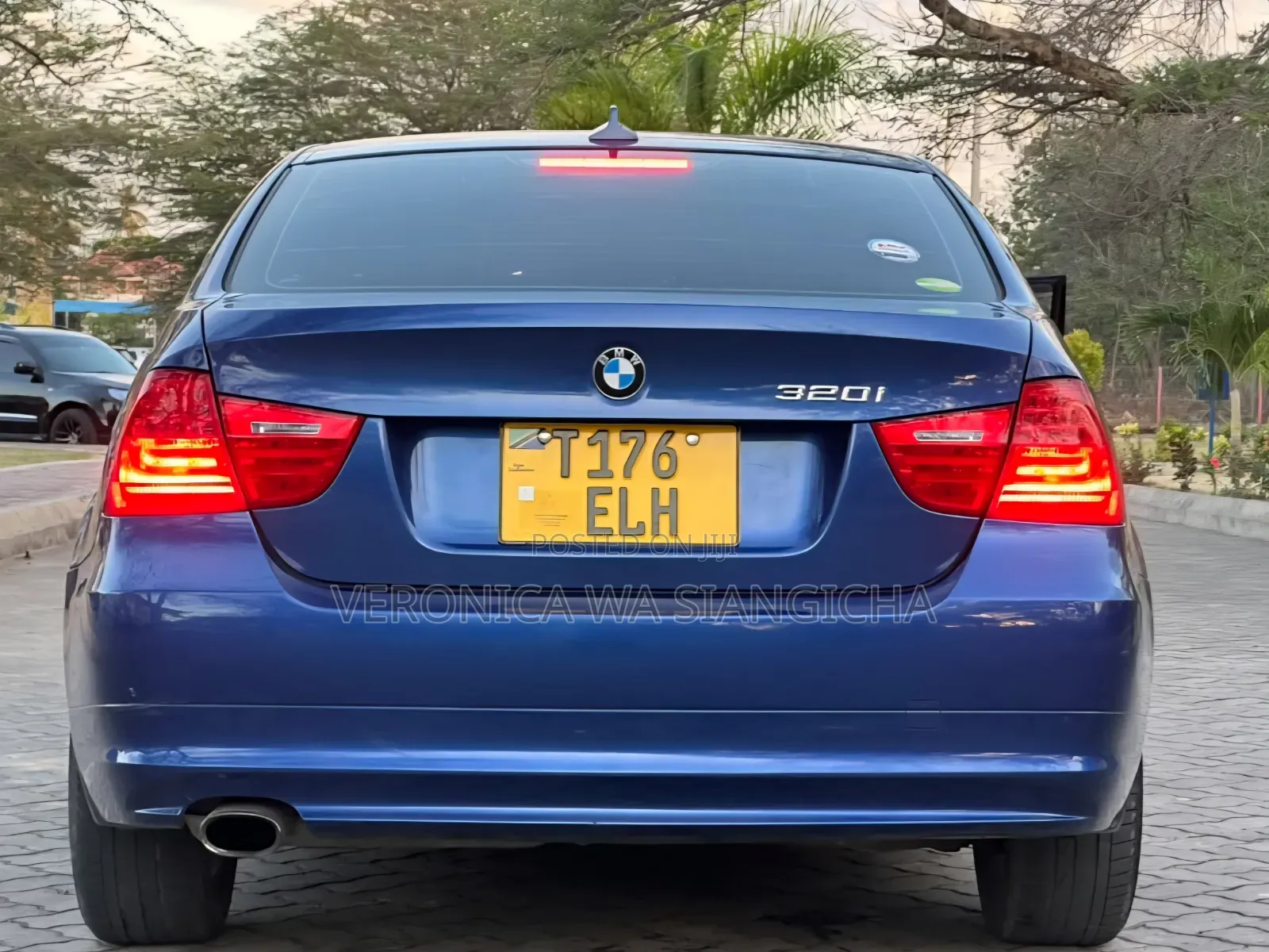 BMW 3 Series 2010 Blue
