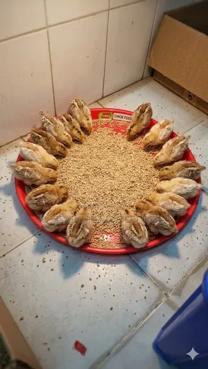 Chicken Tray