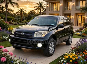Toyota RAV4 2005 Black