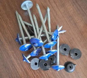 Roof Nails