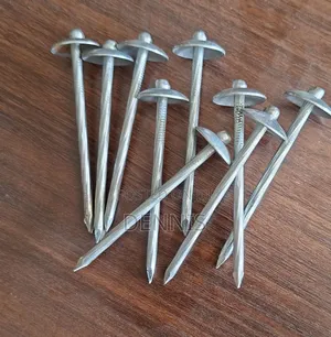 Roof Nails