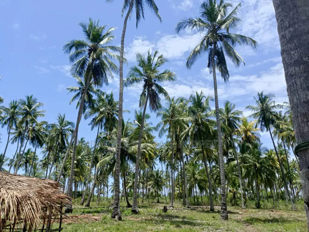 Beach Plot for Sale at Kitame Bagamoyo Road to Pangani