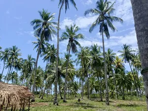 Beach Plot for Sale at Kitame Bagamoyo Road to Pangani