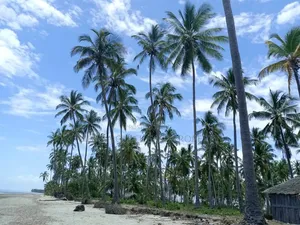 Beach Plot for Sale at Kitame Bagamoyo Road to Pangani