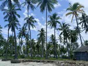 Beach Plot for Sale at Kitame Bagamoyo Road to Pangani