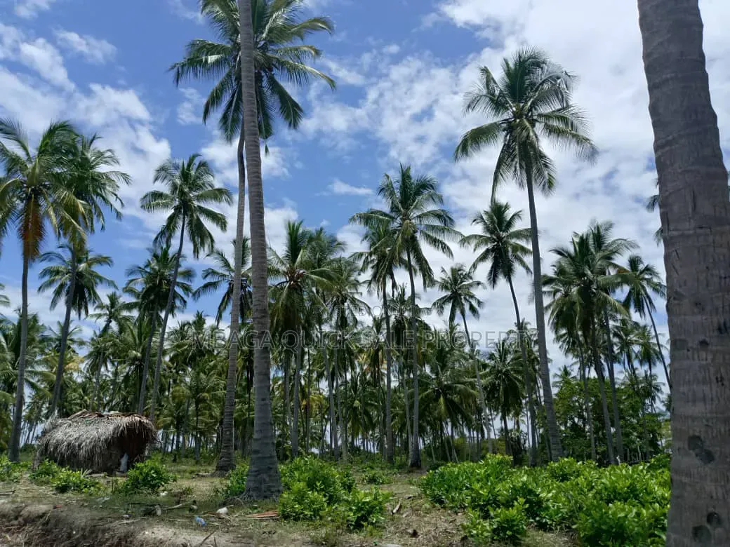 Beach Plot for Sale at Kitame Bagamoyo Road to Pangani
