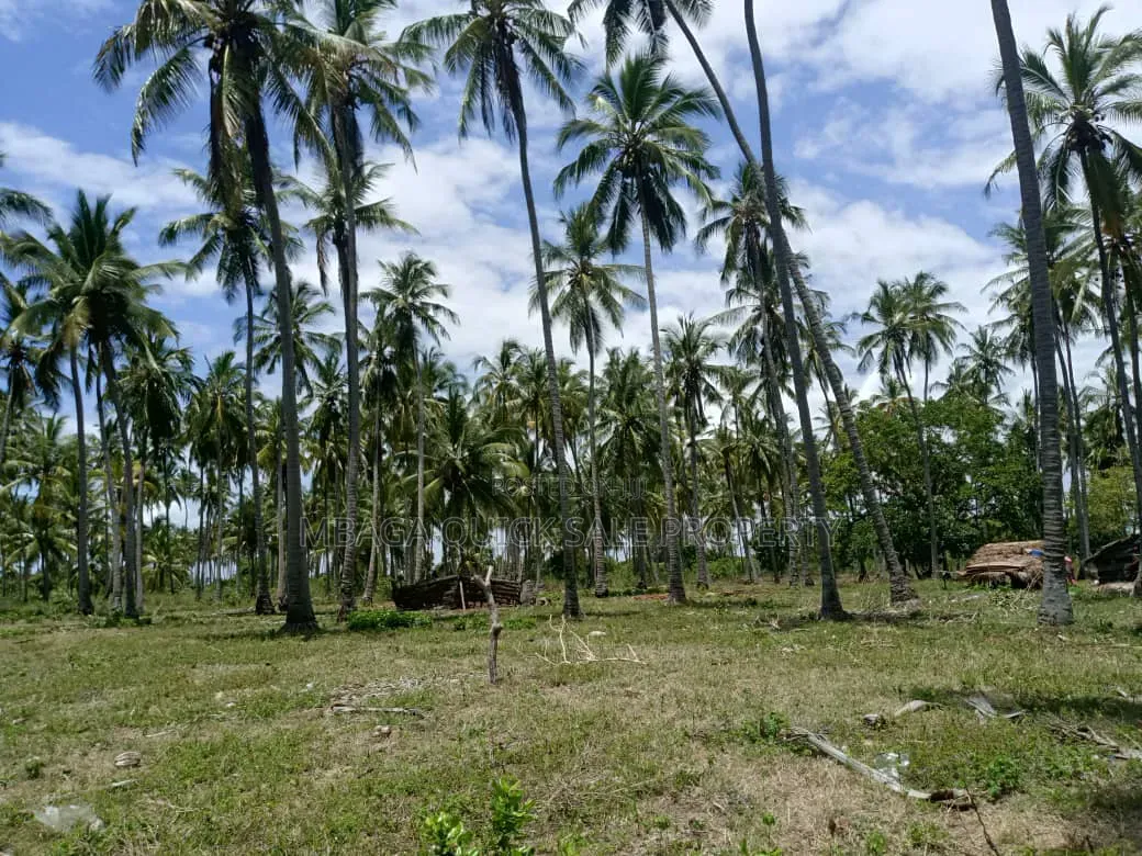 Beach Plot for Sale at Kitame Bagamoyo Road to Pangani