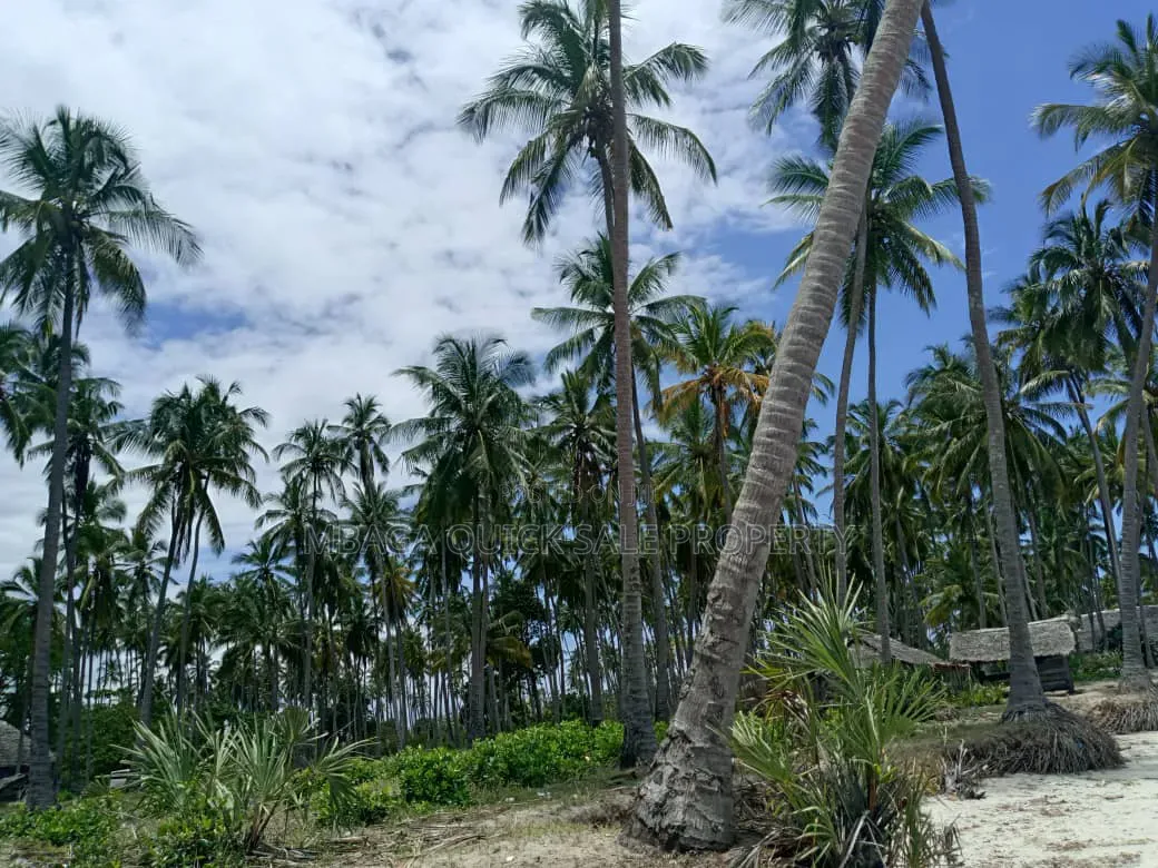 Beach Plot for Sale at Kitame Bagamoyo Road to Pangani