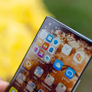Huawei nova 10 Pro 256 GB