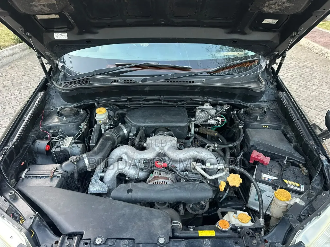 Subaru Forester 2009
