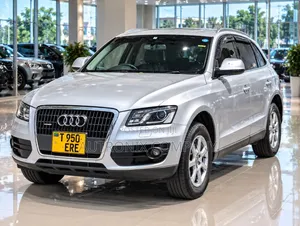 Audi Q5 2009 Silver
