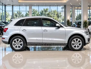 Audi Q5 2009 Silver