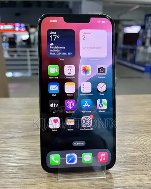 Apple iPhone 13 Pro Max 256 GB Gray