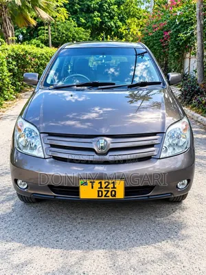 Toyota IST 2005 Gray