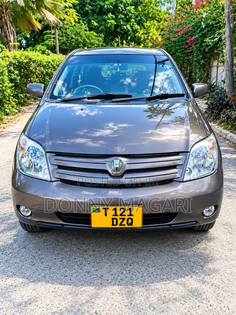 Toyota IST 2005 Gray