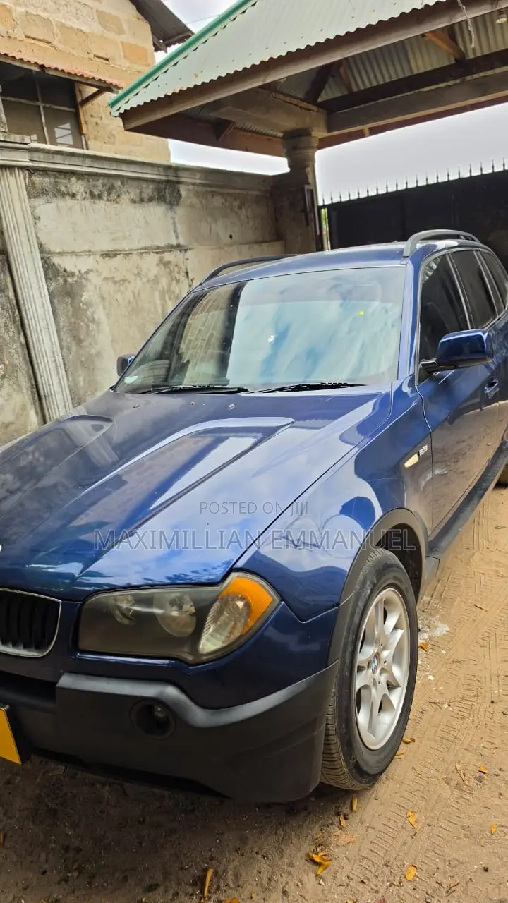 BMW X3 2007 Blue