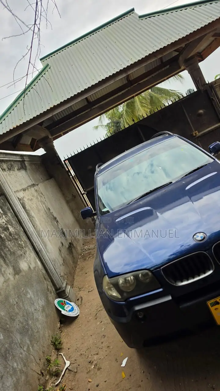 BMW X3 2007 Blue