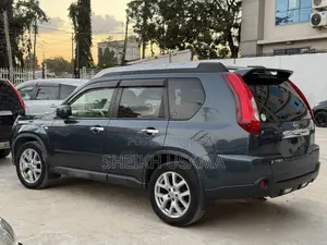 Nissan X-Trail 2.0 Petrol XE 2012 Gray