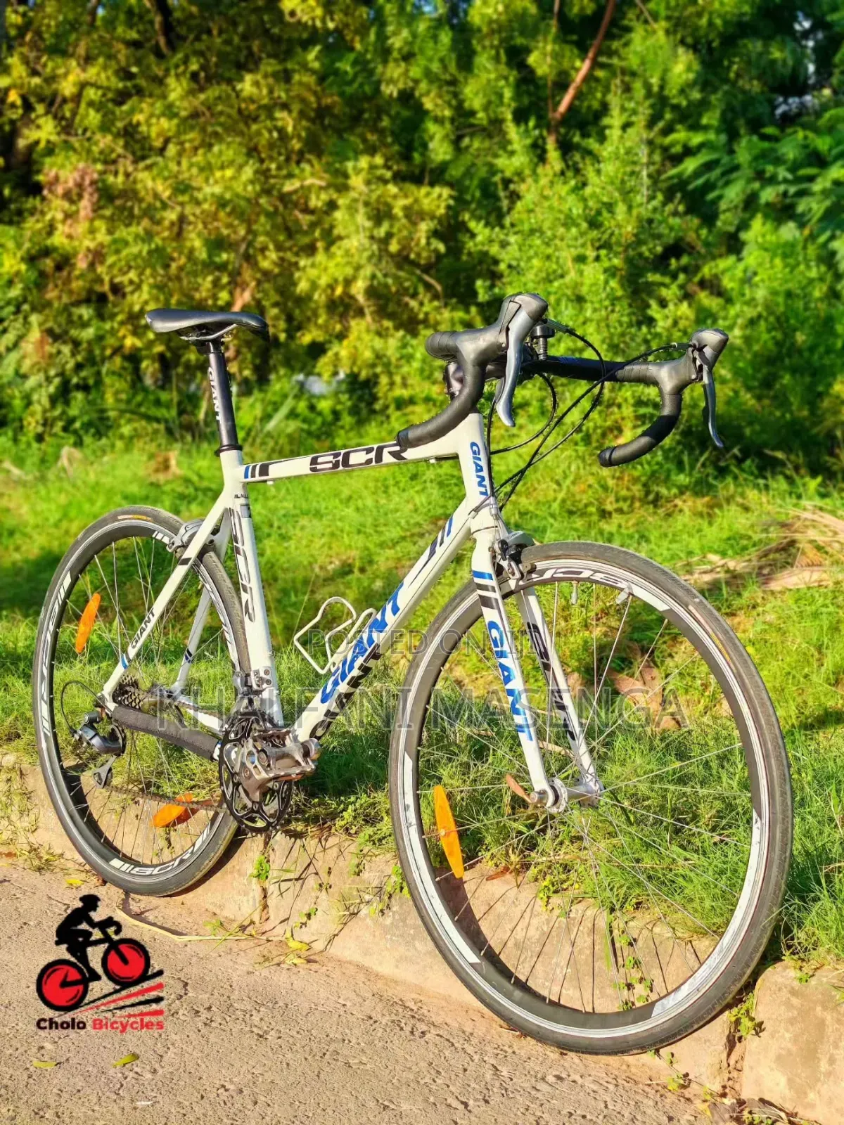 Giant Road Bike UK Used