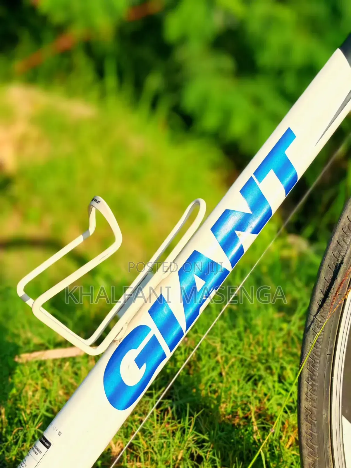 Giant Road Bike UK Used
