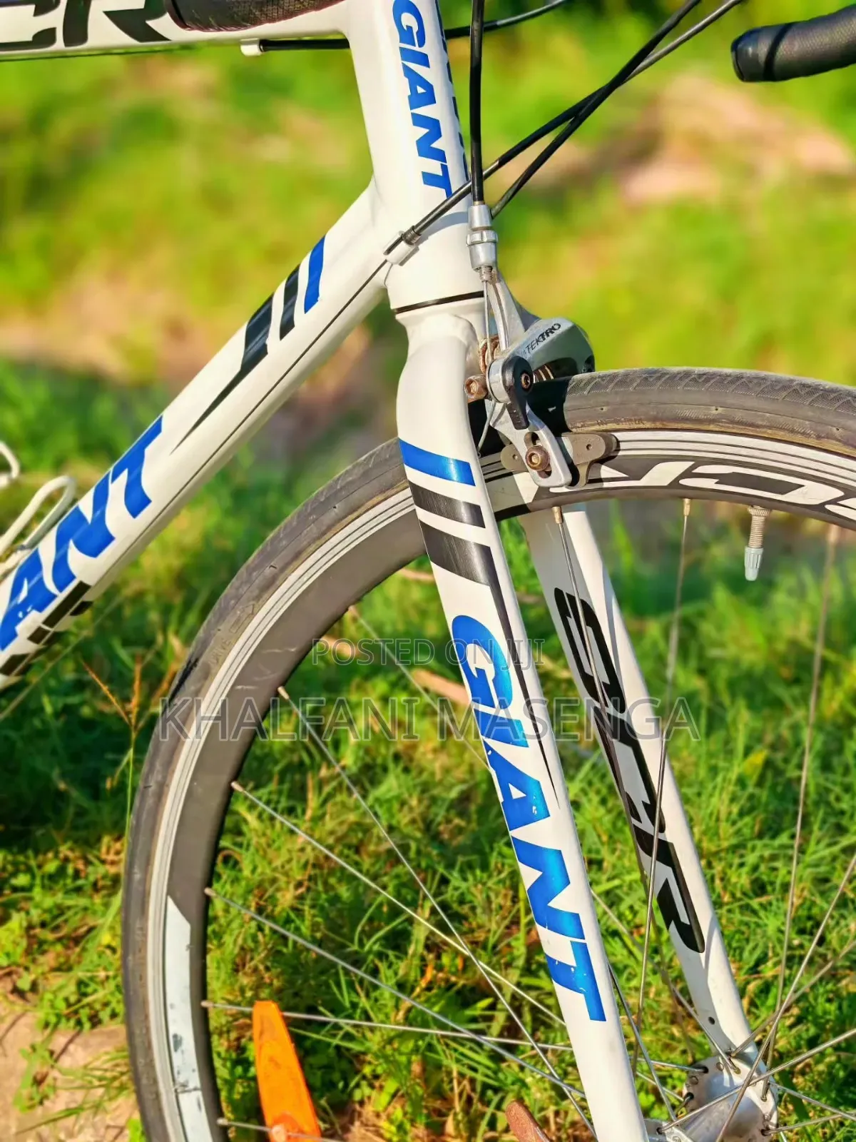 Giant Road Bike UK Used