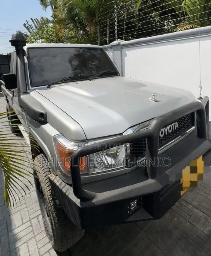Toyota Land Cruiser 2011 Silver
