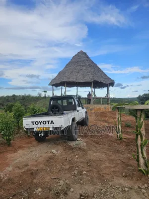 Toyota Land Cruiser 79 Series 2009 White