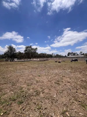 4108 SQM in Burka for Sale