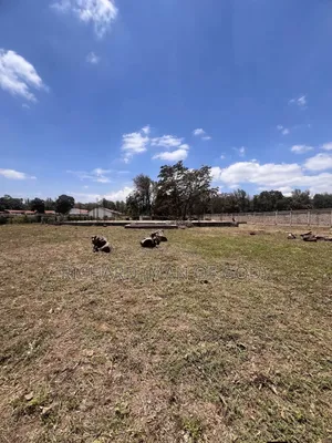 4108 SQM in Burka for Sale