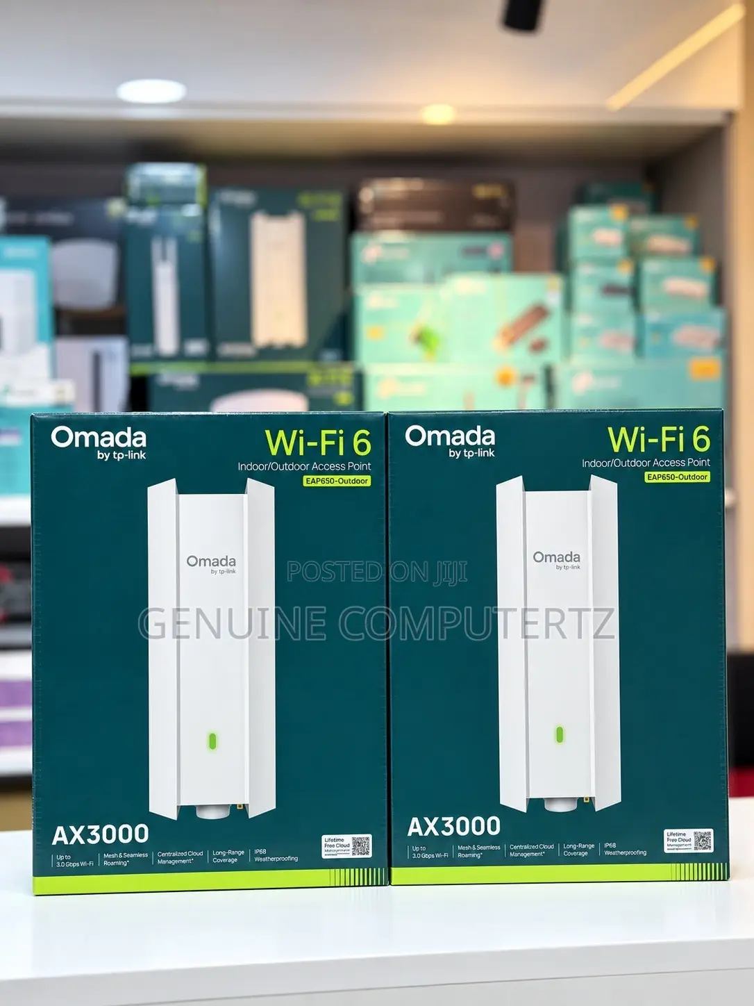 TP-Link EAP650-Outdoor (AX3000 Indoor/Outdoor Wi-Fi 6 Access Point)