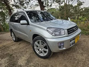 Toyota RAV4 Automatic 2003 Silver
