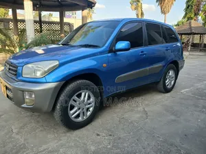 Toyota RAV4 2005 Blue