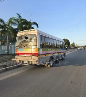 Mitsubishi Fuso Rosa 1993 Beige