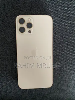 Apple iPhone 12 Pro Max 256 GB Gold