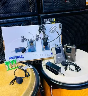 Professional Universal Microphone (Double Mic)