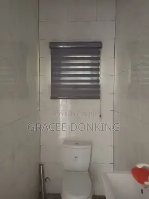 Zebra Blind Curtains