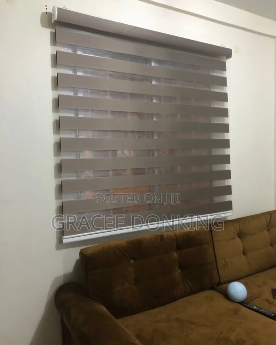 Zebra Blind Curtains