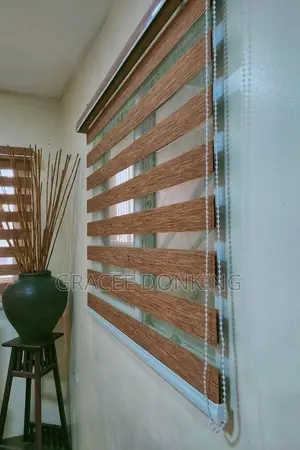 Zebra Blind Curtains