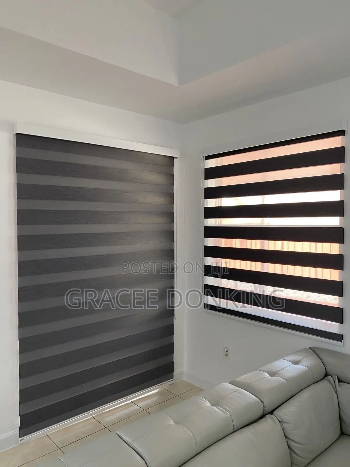 Zebra Blind Curtains
