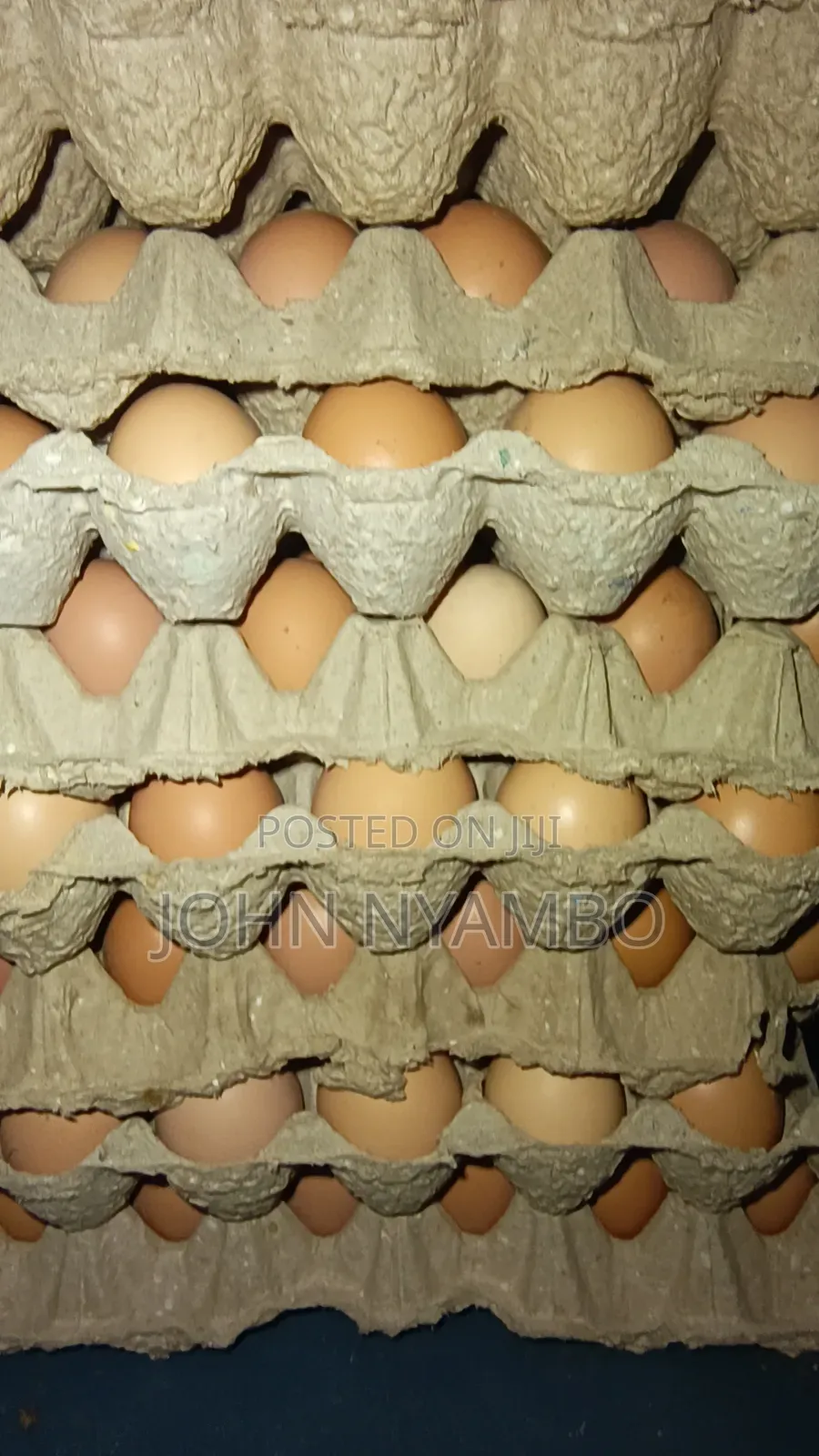 Layers Eggs