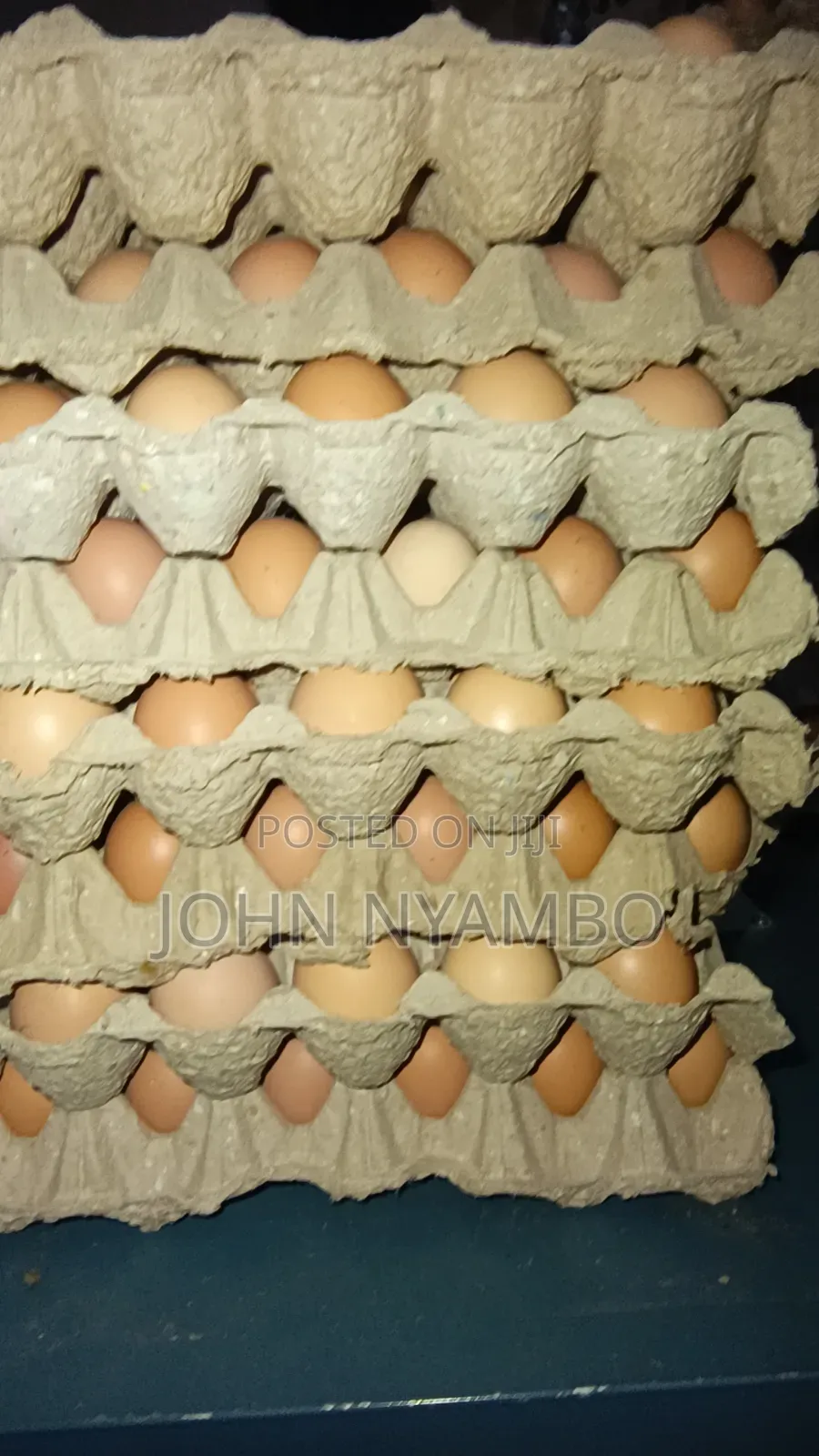 Layers Eggs