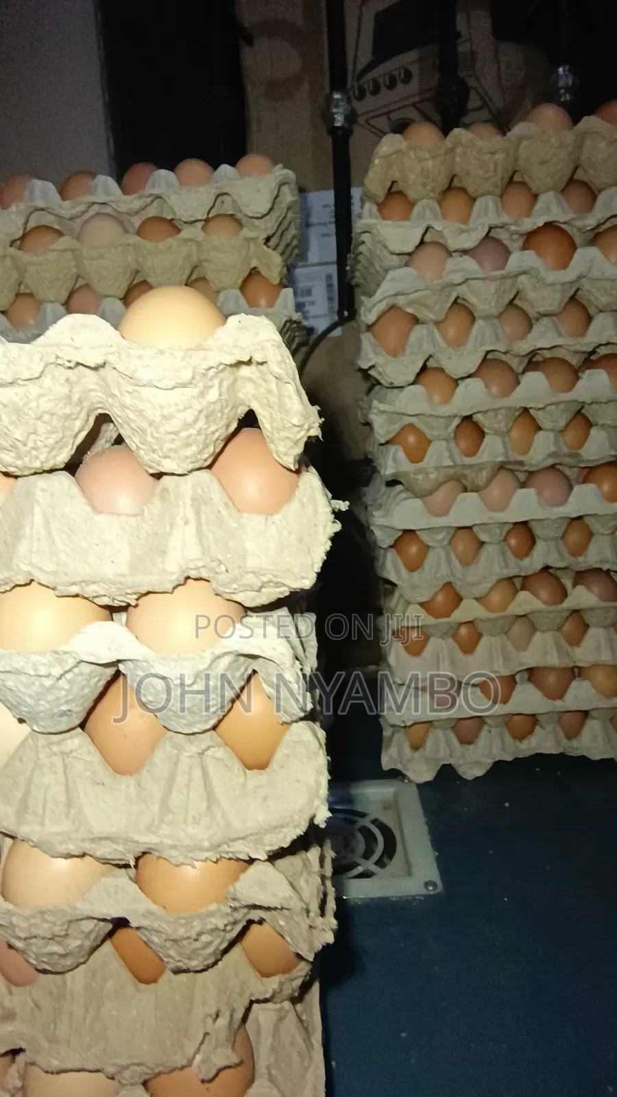 Layers Eggs