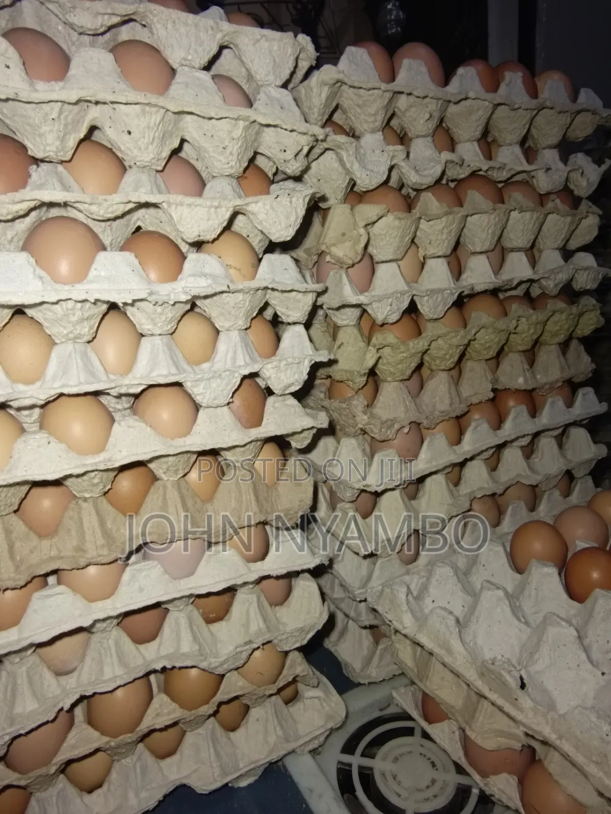 Layers Eggs